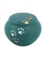 Teal Paw Print - IS